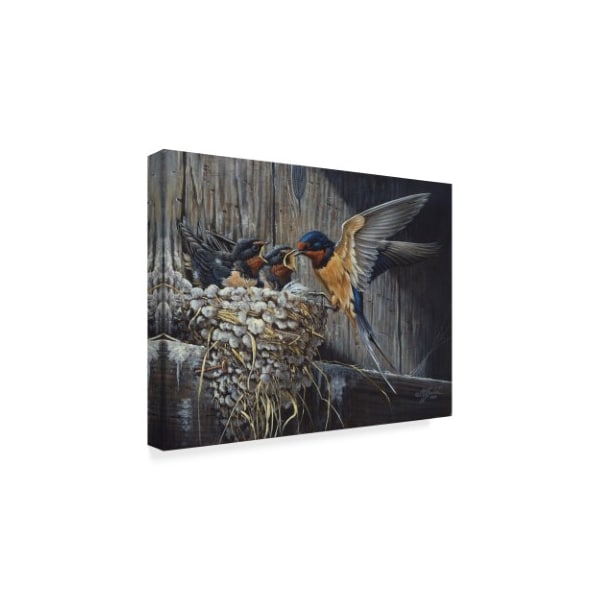 Wilhelm Goebel 'Country Barn Swallows' Canvas Art,18x24